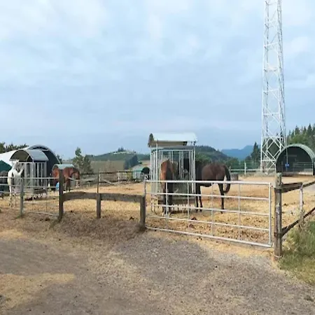 Ferienhaus In Korbach Nahe Willingen
